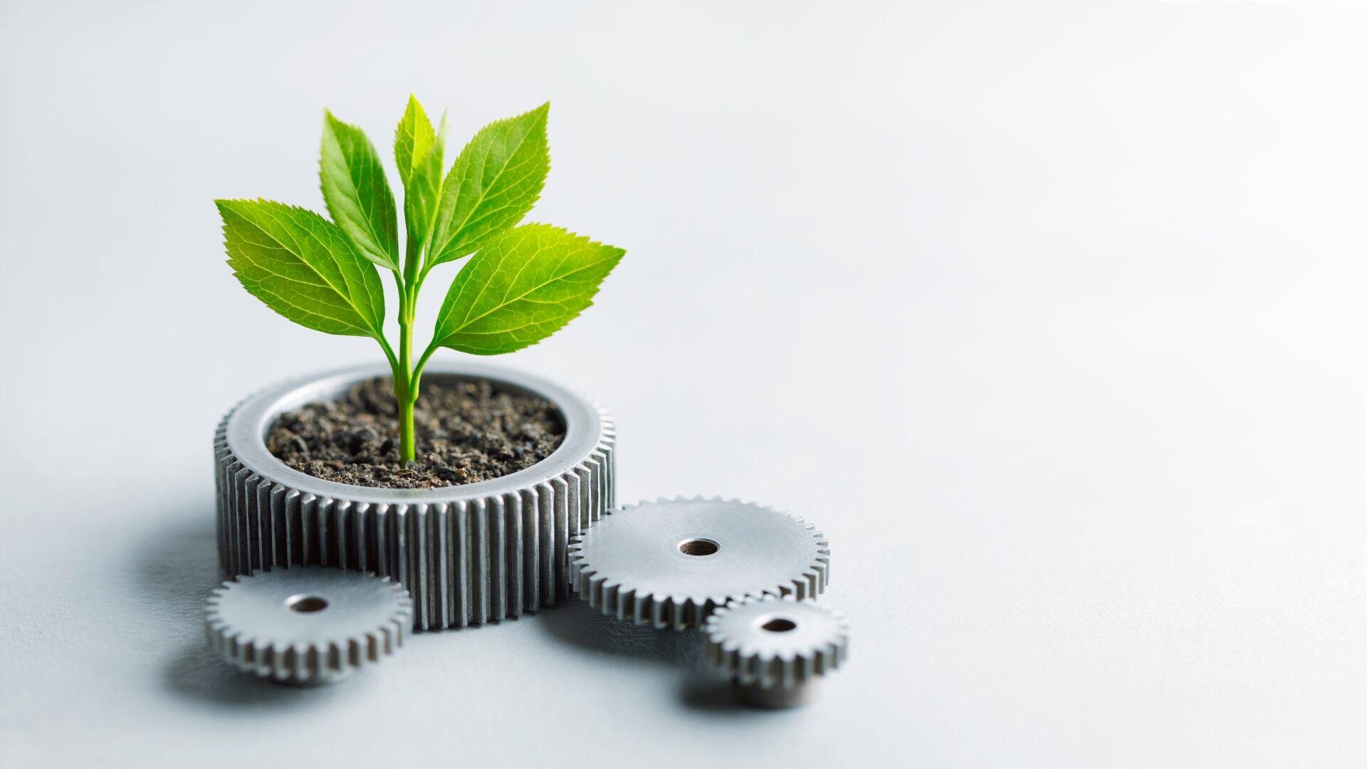A small green plant growing in a metal gear in the ground, with three other metal gears nearby on a light grey background, symbolizing the integration of nature and technology.