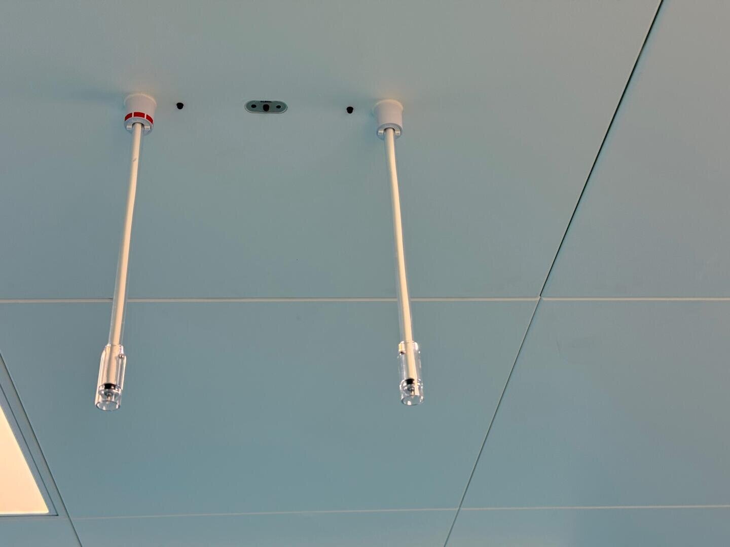 Two white pendant lights with long stems hang from a light blue ceiling with square cladding. The lights are evenly spaced, and between them are two small black circles and an oval fixture.