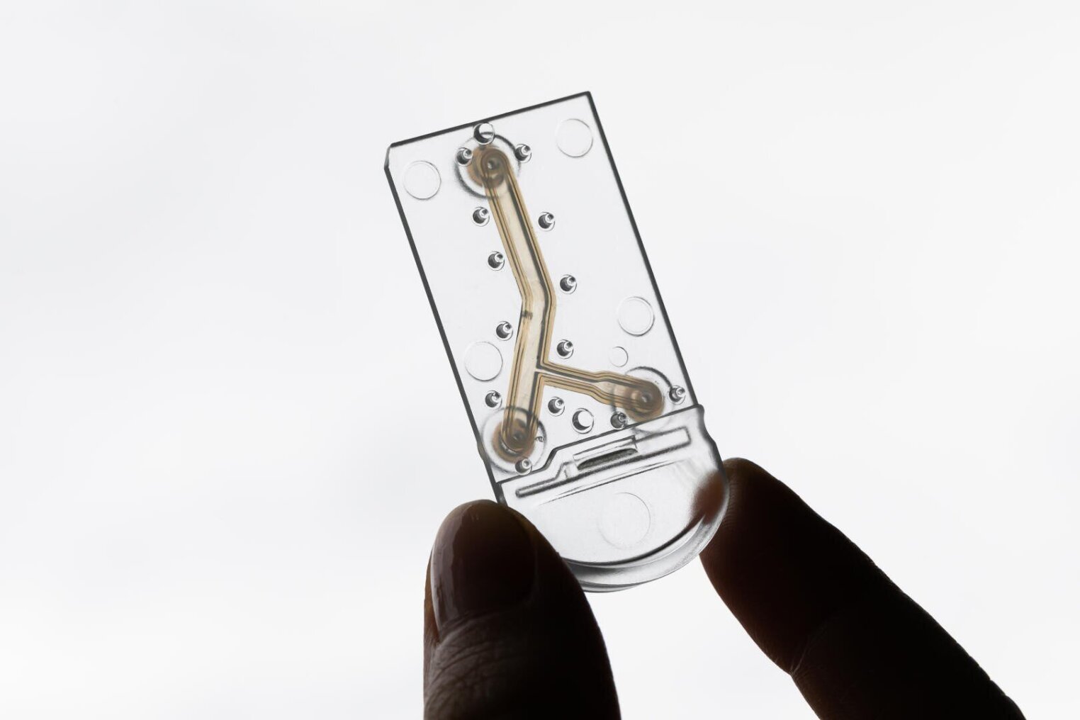 A hand holding a transparent microfluidic chip with intricate channels and circular indentations inside, against a plain white background.