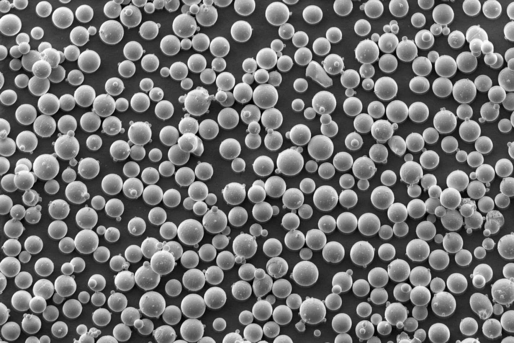 A microscopic grayscale image showing numerous small, round particles of different sizes, densely packed and scattered on a dark background.